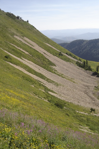 Talus and meadows