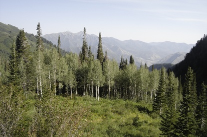 hiking Spanish Fork Peak