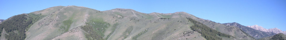 Bald Mountain 