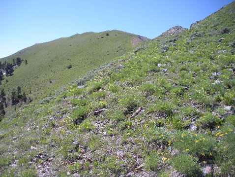 North ridge of Bald 