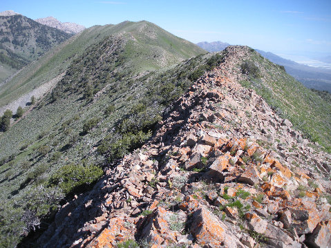 Bald Mountain summit