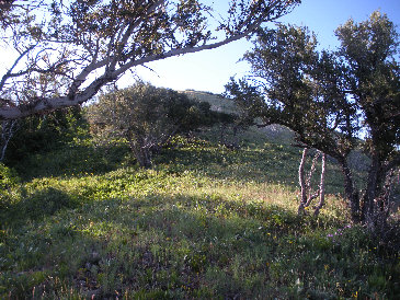 Hiking the ridge 