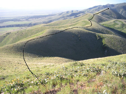 Little Bald Mountain 