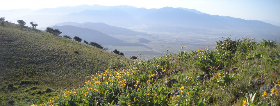 Oquirrh Mountains 