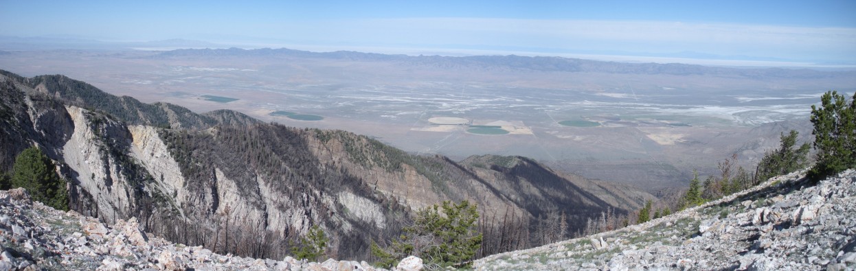 Cedar Mountains