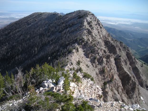 Stansbury Ridge hiking