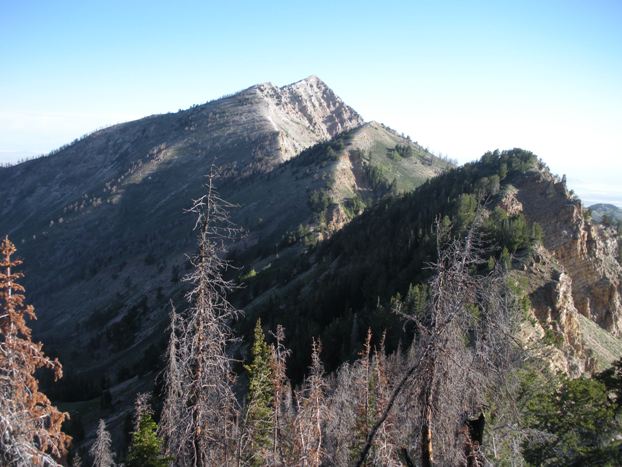 Deseret Peak views