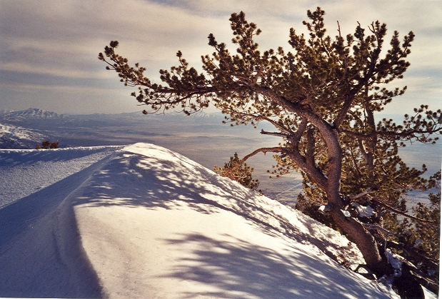 Vickory Ridgeline