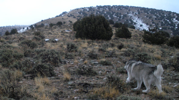 Route up South Mountain West