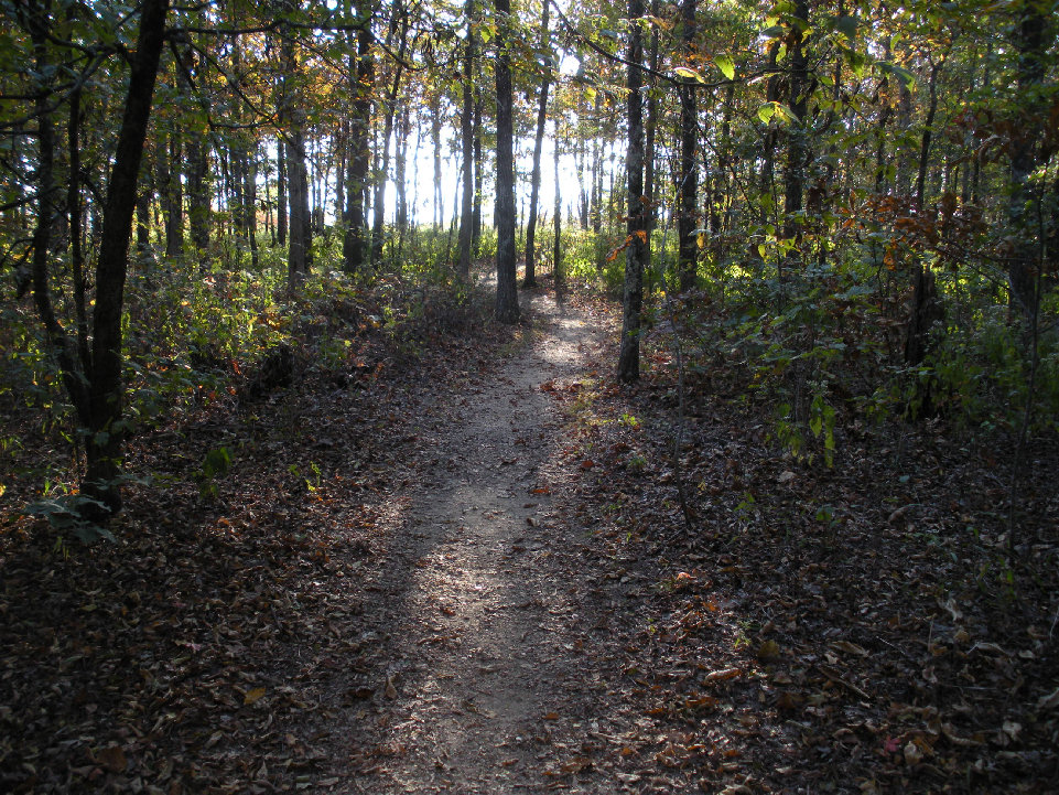 Mount Magazine trail