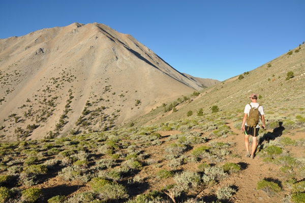 Boundary Peak Trail : 405 Photos - Nevada, Randonnée