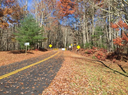 Brasstown Bald 