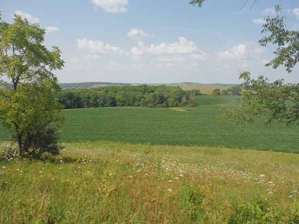 illinois state highpoint