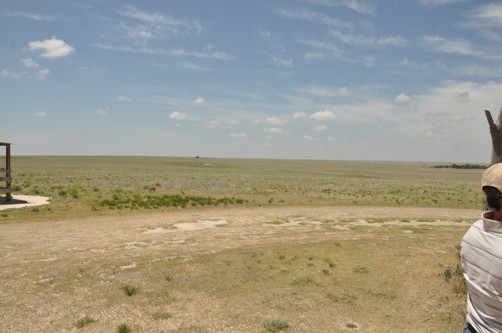 Mount Sunflower 