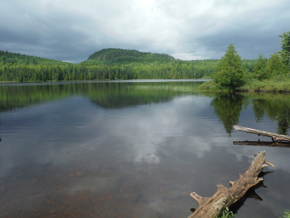 Whale Lake