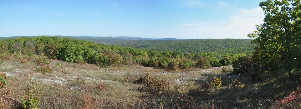 Ozarks from Taum Sauk 