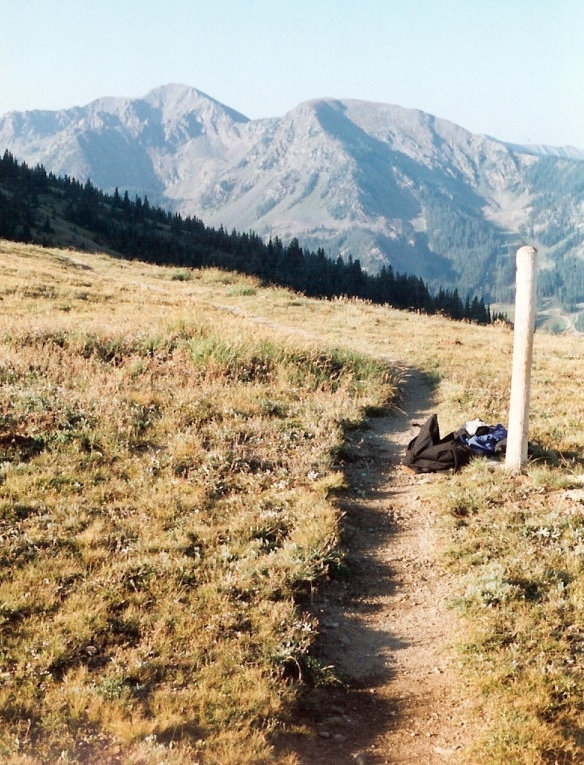 Wheeler Peak trail