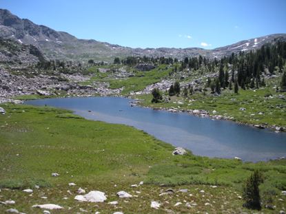 Lester Pass