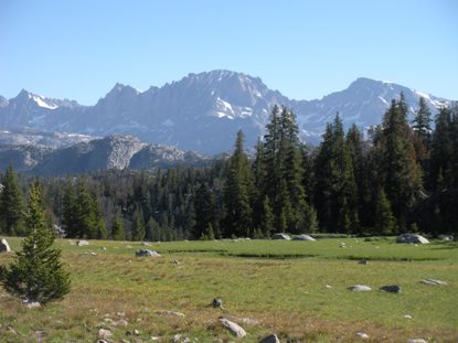 Meadows, Wind River Range