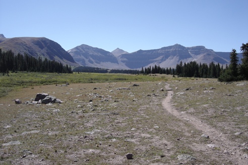 Henry Fork Basin 