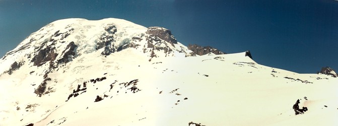 rainier in spring