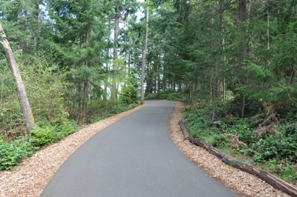 chambers bay path