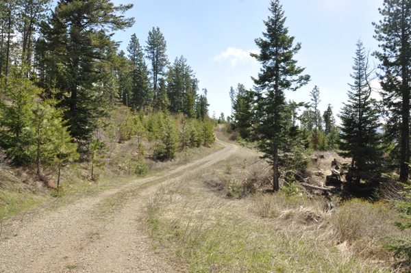 cle elum ridge