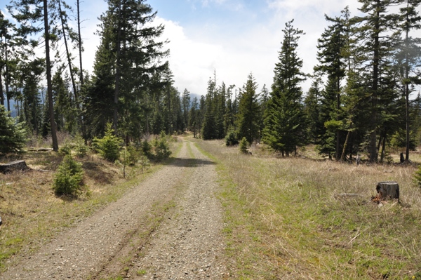 cle elum ridge