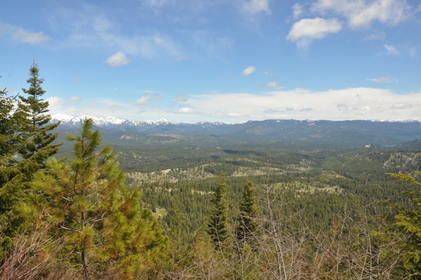 Teanaway Community Forest 