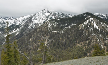 Skookum Peak