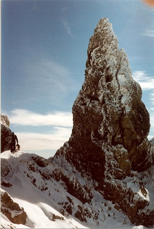 Ingalls Saddle