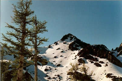 Forture Peak 