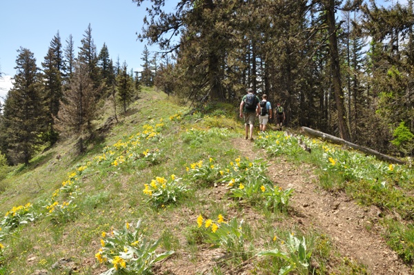 Teanaway Ridge