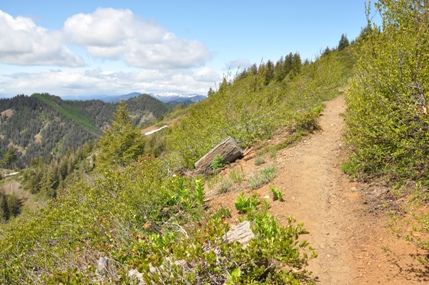 iron bear trail