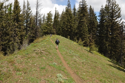 teanaway trail