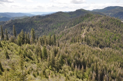 teanaway ridge