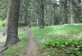 teanaway trail