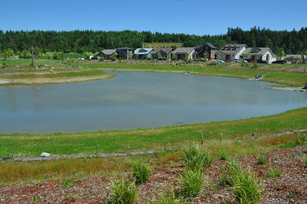 Yonder Pond