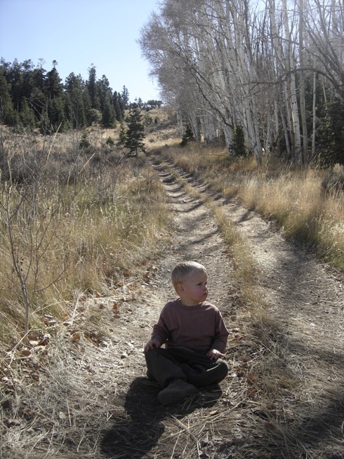 Boulter Peak ATV trail