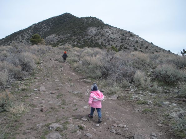 Pinyon jeep road