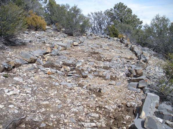 Pinyon Peak trail