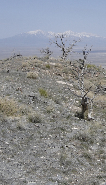 stansburry range