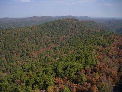 Hot Springs Mountain Tower 