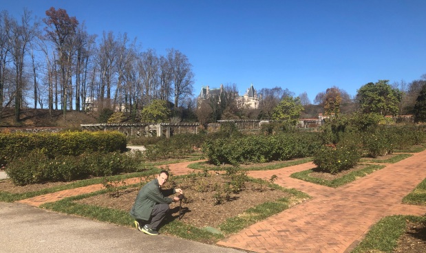 Biltmore gardens