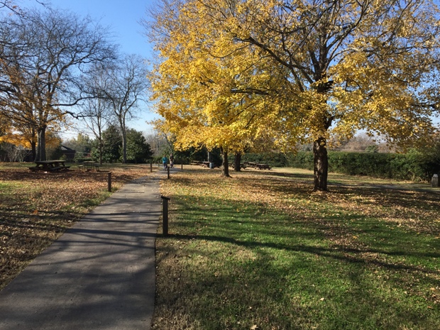 Picnic area