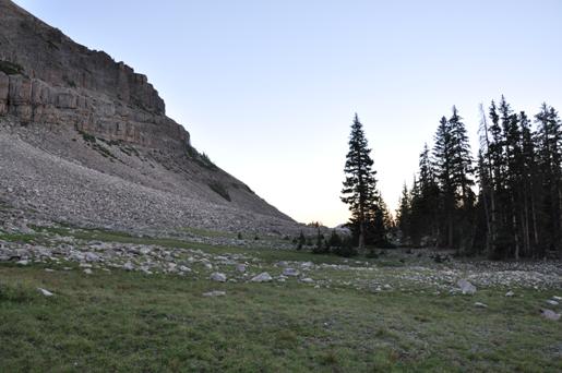 alpine meadow