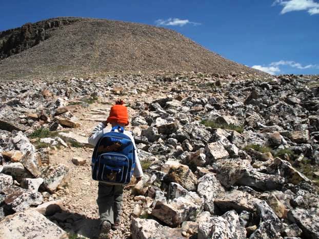 Bald Mountain Uintas