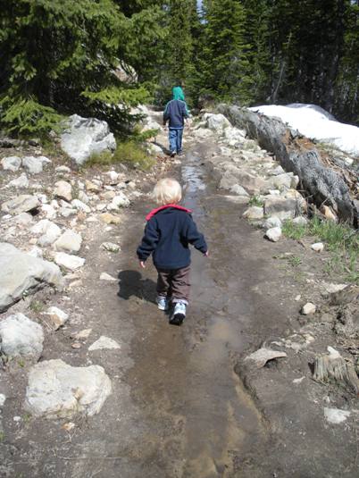 Hiking Uinta trails