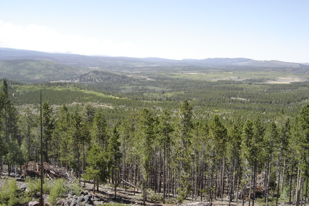 Views from Ute Mountain