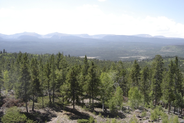 Views from Ute Mountain